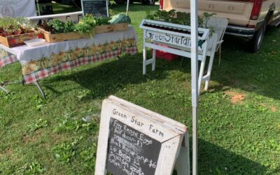 This week at The Sunday Farmers Market in Hellertown