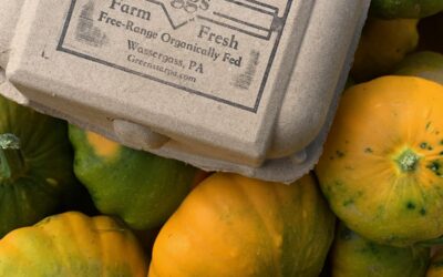 Today at the Market – We Have Star Patty Pan Squash and Eggs